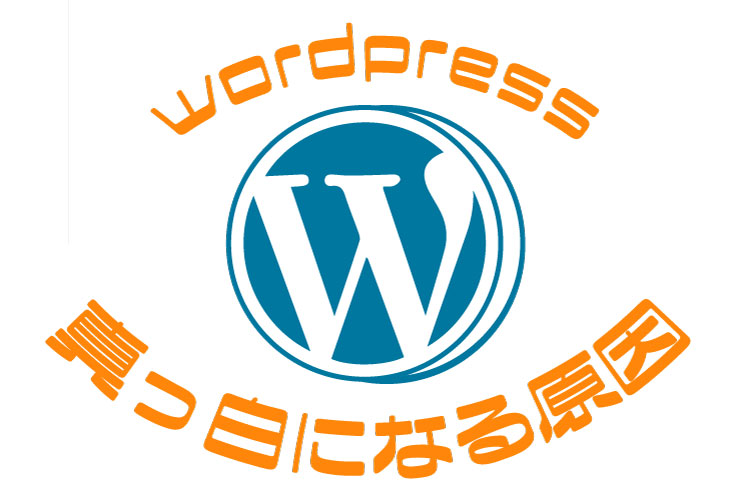 WordPress画面は真っ白になる原因イメージ